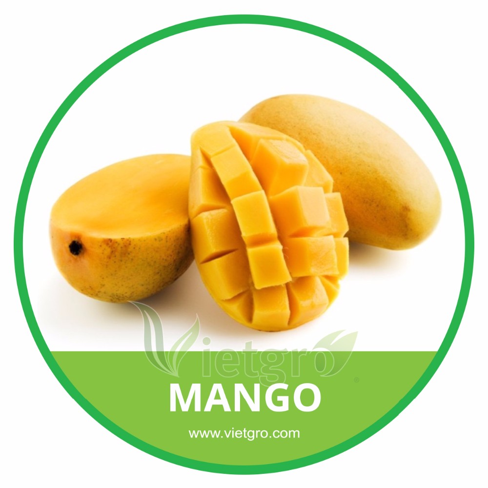 Guangdong Mango Hardware Customization: Quality and Service for Your Project
