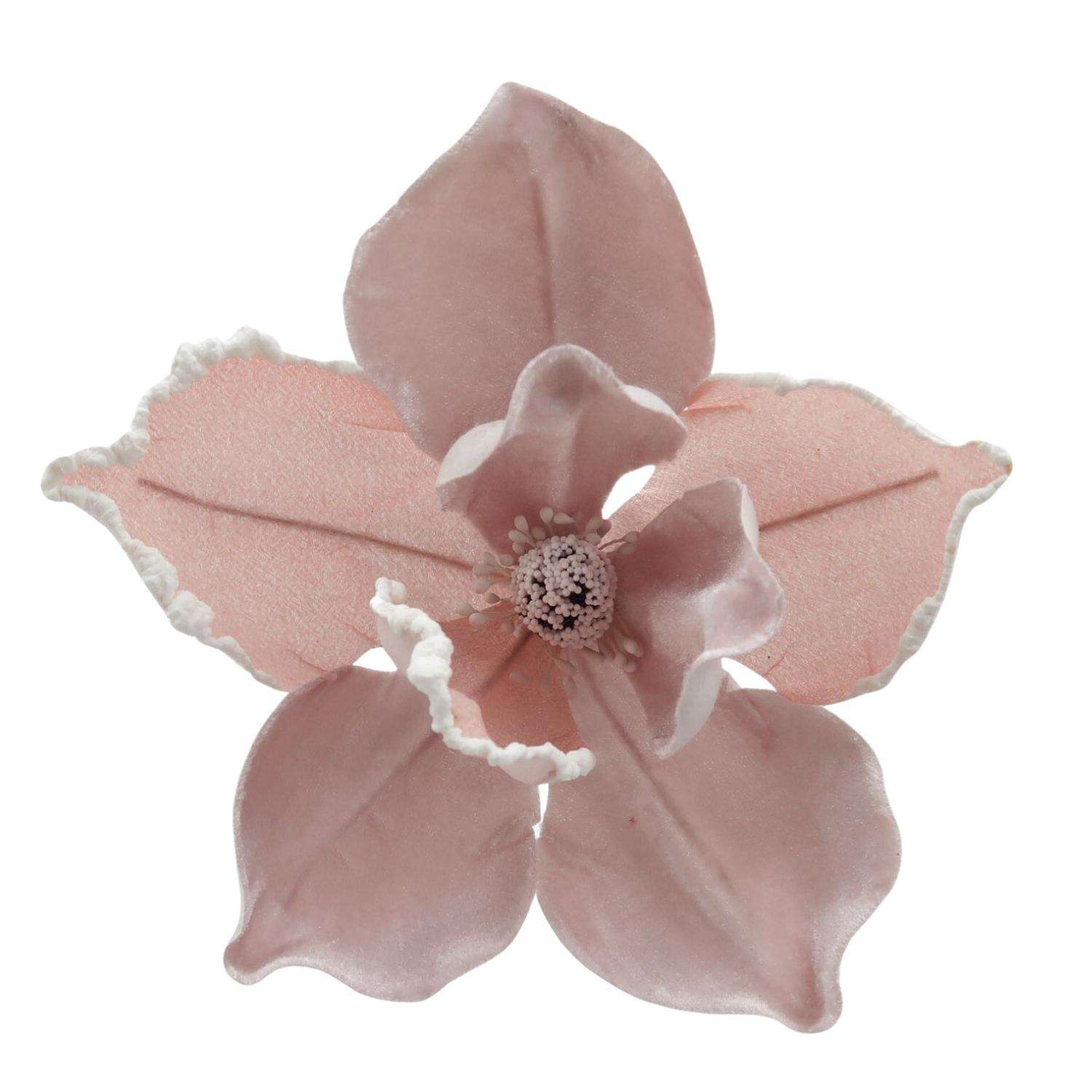 Title: Exploring the Unavailable Items at Flower-Shaped Hexagonal Hardware Store
