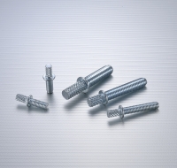 Title: Customized Metal Screws Manufactured by Boluo Factory: The Art of Manufacturing High-Quality Fasteners