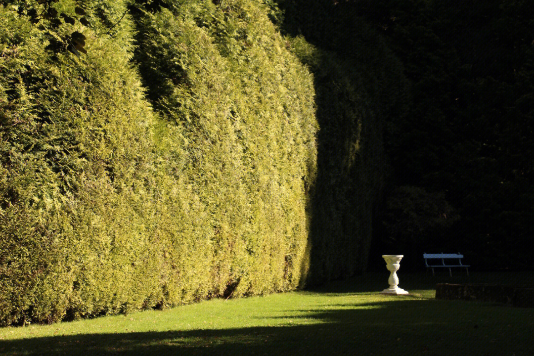 Bondi Hardware Secret Garden: A Hidden Gem in the Heart of Sydney