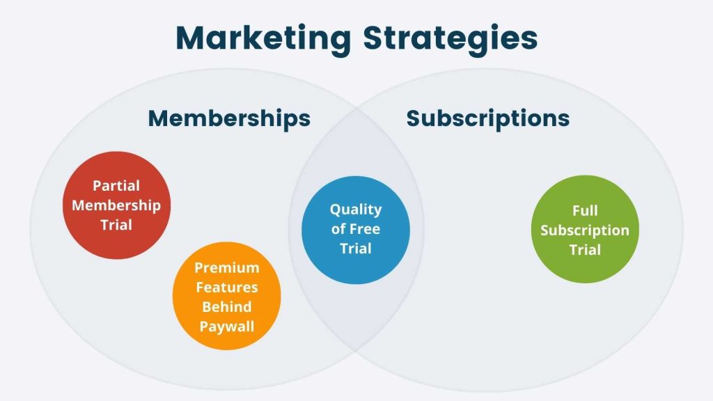 Melt Five-Metal Marketing: A Strategic Analysis