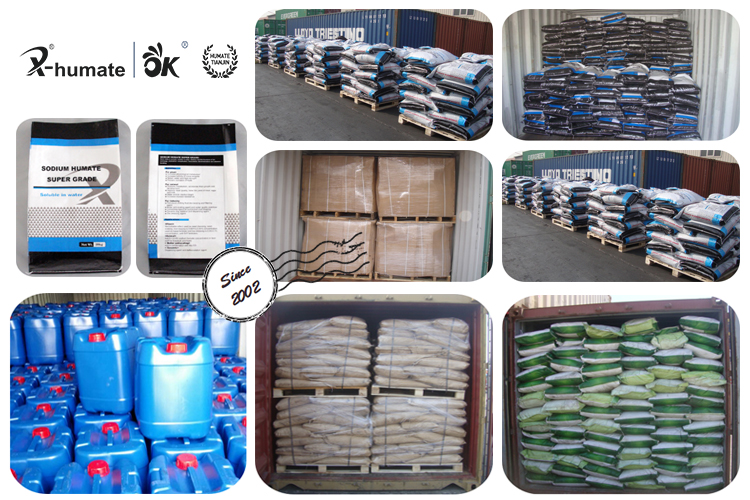 Title: Fujian Chemical Hardware Manufacturers’现货资源
