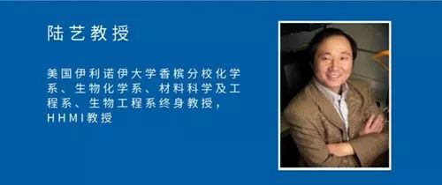 Title: Innovative Environmentally-Friendly Materials in Hardware Accessories Manufacturing in Changning District
