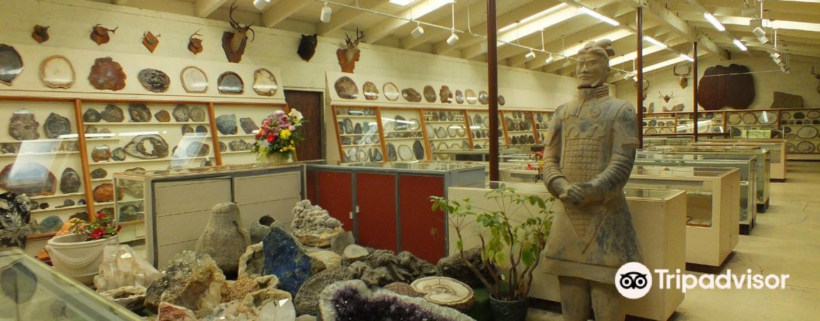 Title: The Marvelous Hardware Store of Dangchang County