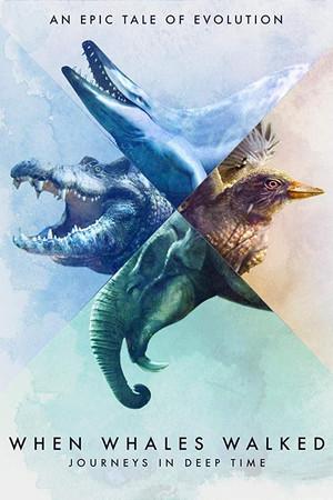 Title: The Magnificient World of Whale Hardware Store: A Journey Through Time and Space