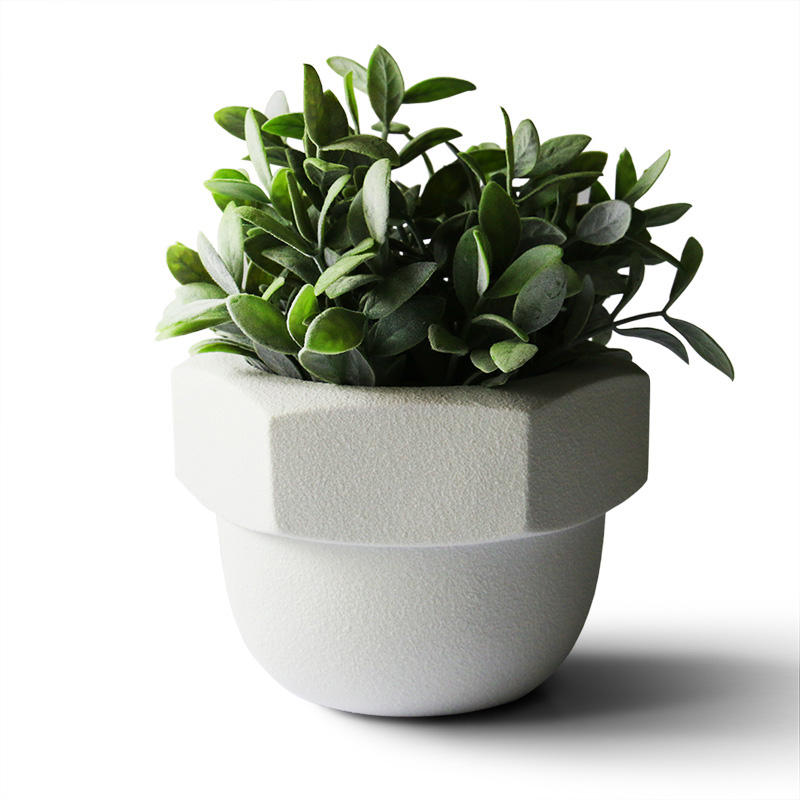 Soil-Produced Hardware Wholesale Plant