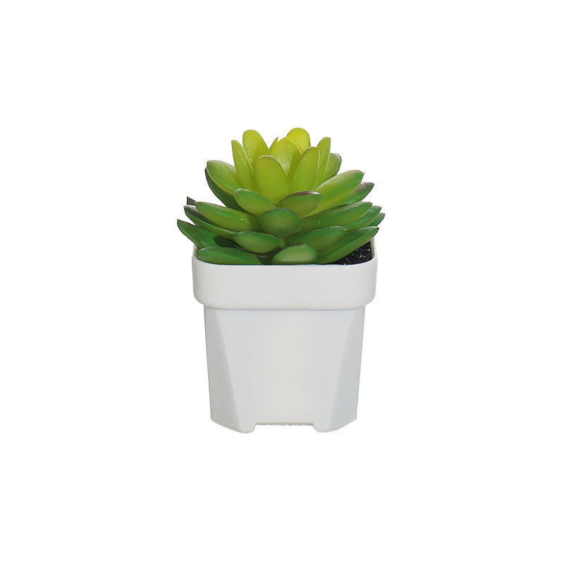 Soil-Produced Hardware Wholesale Plant