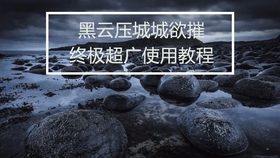 Title: Focusing on Customized Hardware Manufacturing - A Promising Future for Skylight Platforms