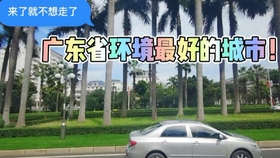 Title: The Triumph of Zhang Zhens Hardware Store: A Story of Entrepreneurship and Success