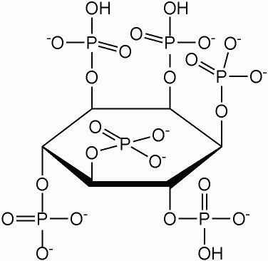Is hydrochloric acid sold in hardware stores?