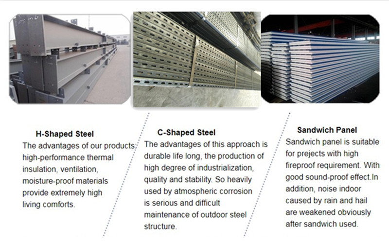 Title: Exploring the World of Customized Metal Systems