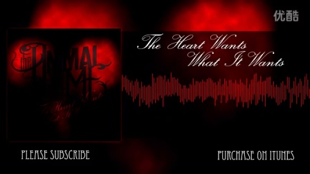 Title: Metal Stores: The Heart of Local Trade and Community Involvement