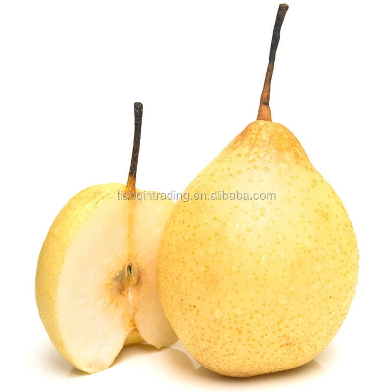 Pear Tree Hardware Store: A Comprehensive Guide to Quality Products and Exceptional Service