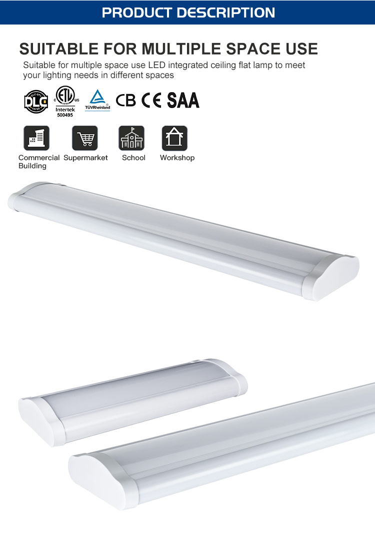 Wholesale of Hardware, Lightings, and Plumbing Supplies