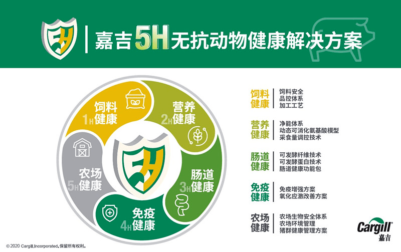 五体外加工批发，优势、挑战与解决方案