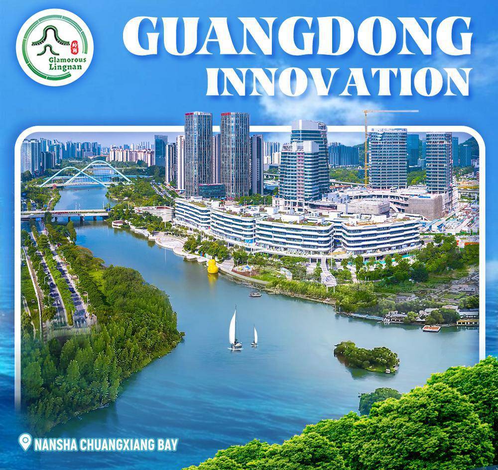 Title: Guangdong Local Hardware Brands: A Study of Their Development and Impact