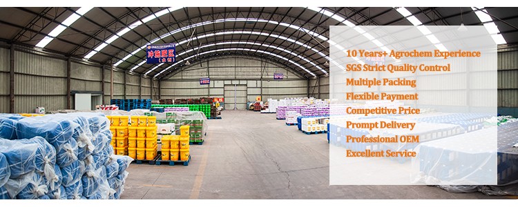 Exploring the Prosperous Huaian New Hardware Wholesale Market