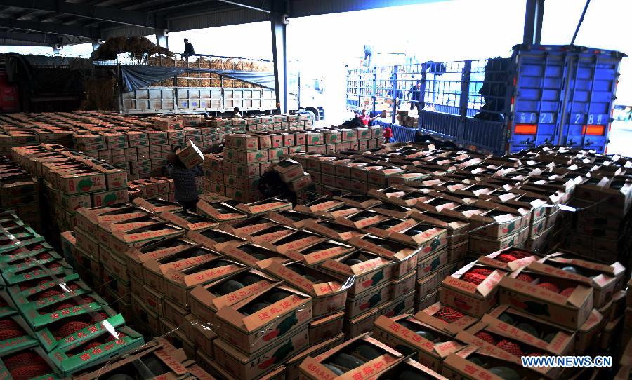 Exploring the Prosperous Laibin Hardware & Building Material Wholesale Market in Guangxi