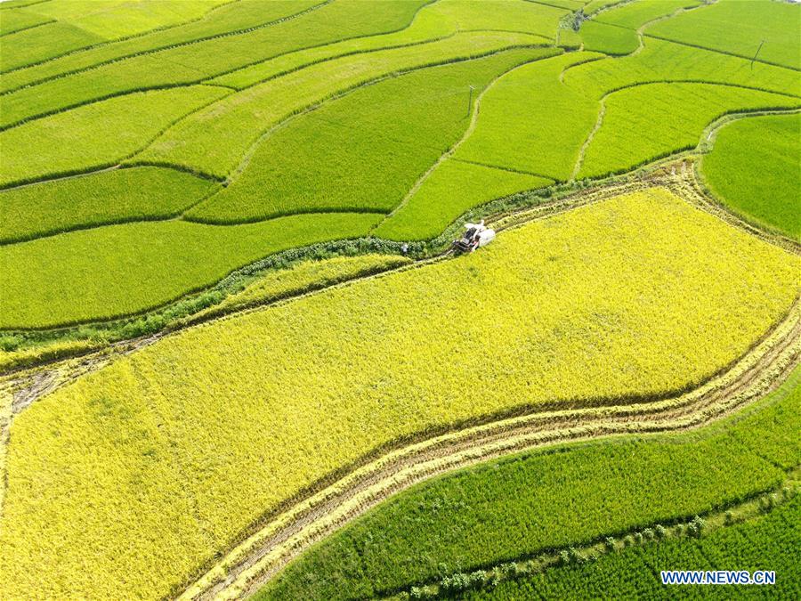 The Promising Landscape of Hunans Shuangfeng County Hardware Wholesale Market