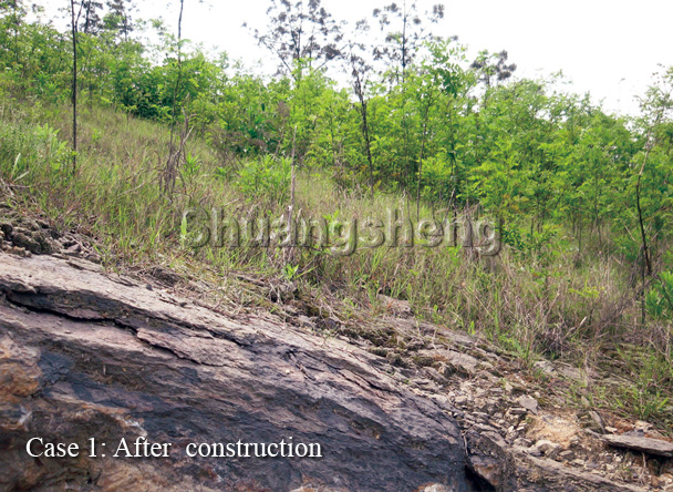 The Promising Landscape of Hunans Shuangfeng County Hardware Wholesale Market