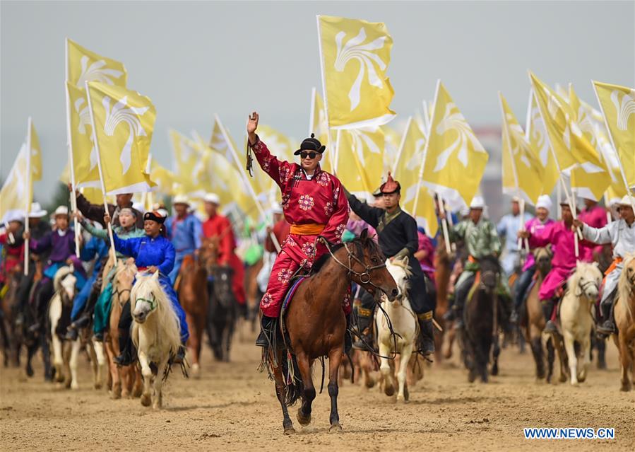 Exploring the Prime Hardware Wholesale Market in Inner Mongolia