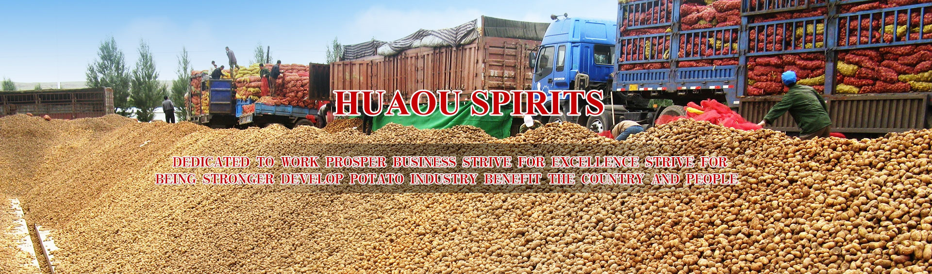 Exploring the Prime Hardware Wholesale Market in Inner Mongolia