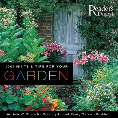 The Garden: A Haven of Color and Life