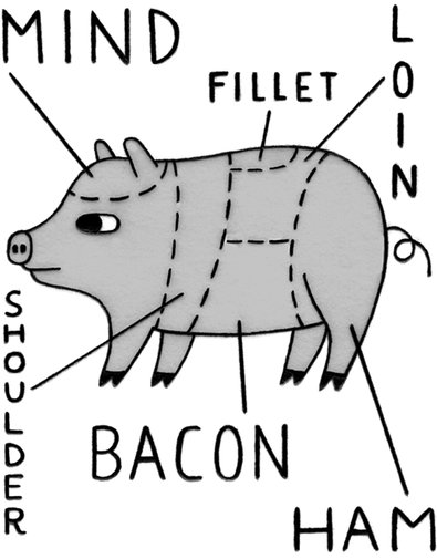 The Art and Science of Pig-Nosed Hardware: A Comprehensive Guide to Pork Snout Accessories