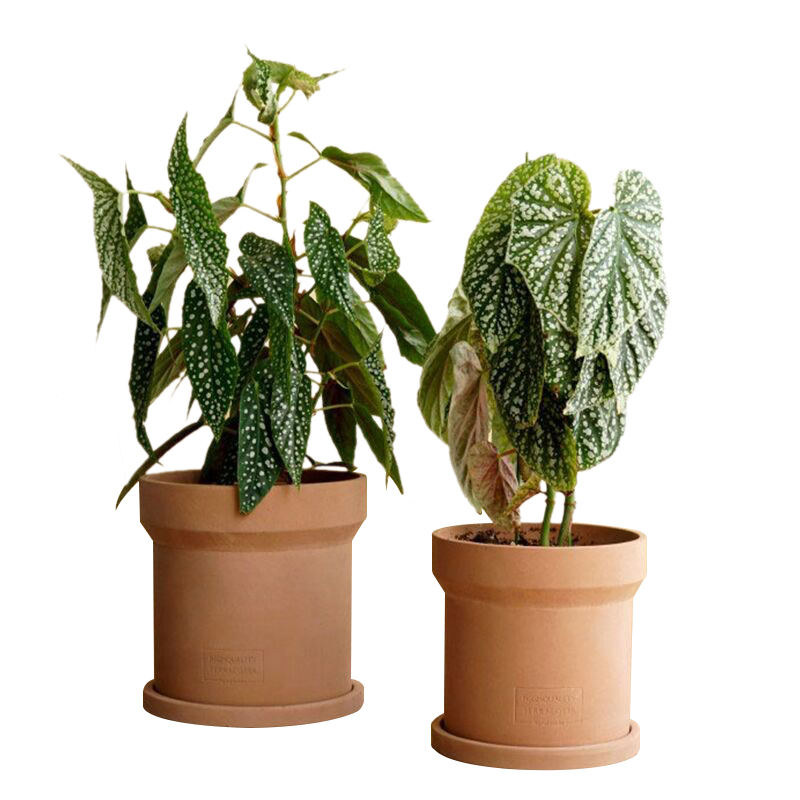 Dongyang Hardware Wholesale Plant