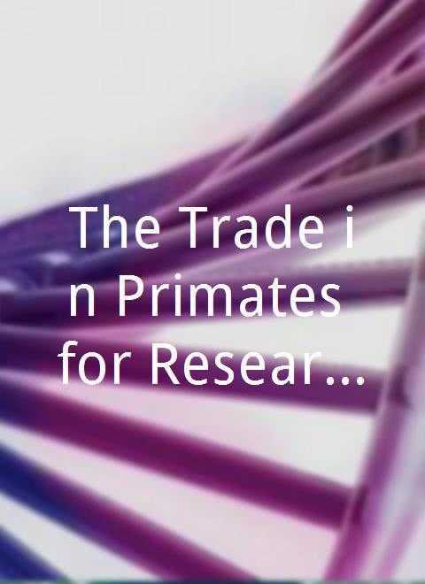 The Prosperous Trade of Jinggang Hardware Wholesale
