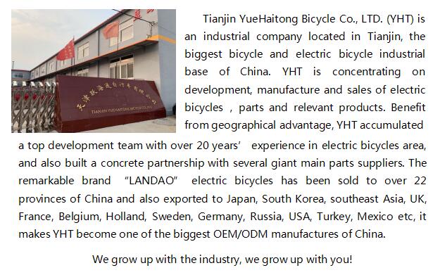 Exploring the Prosperous World of Jinling Hardware Wholesale