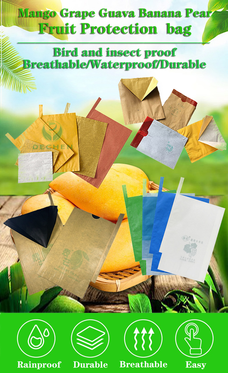 The Allure of Paper Lawn and Leaf Bags at Ace Hardware Near Me