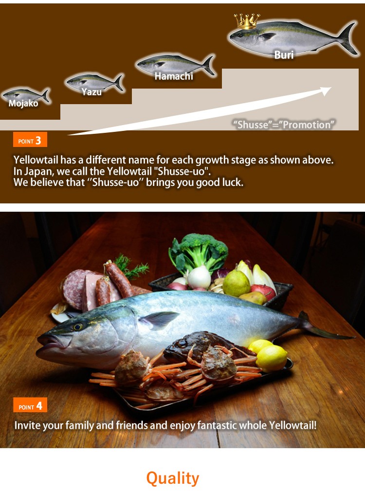 The Suitable Fish Species for a Hardware Store