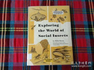 Exploring the World of Hardware in Lanzhou: A Comprehensive Guide to Tools and Equipment
