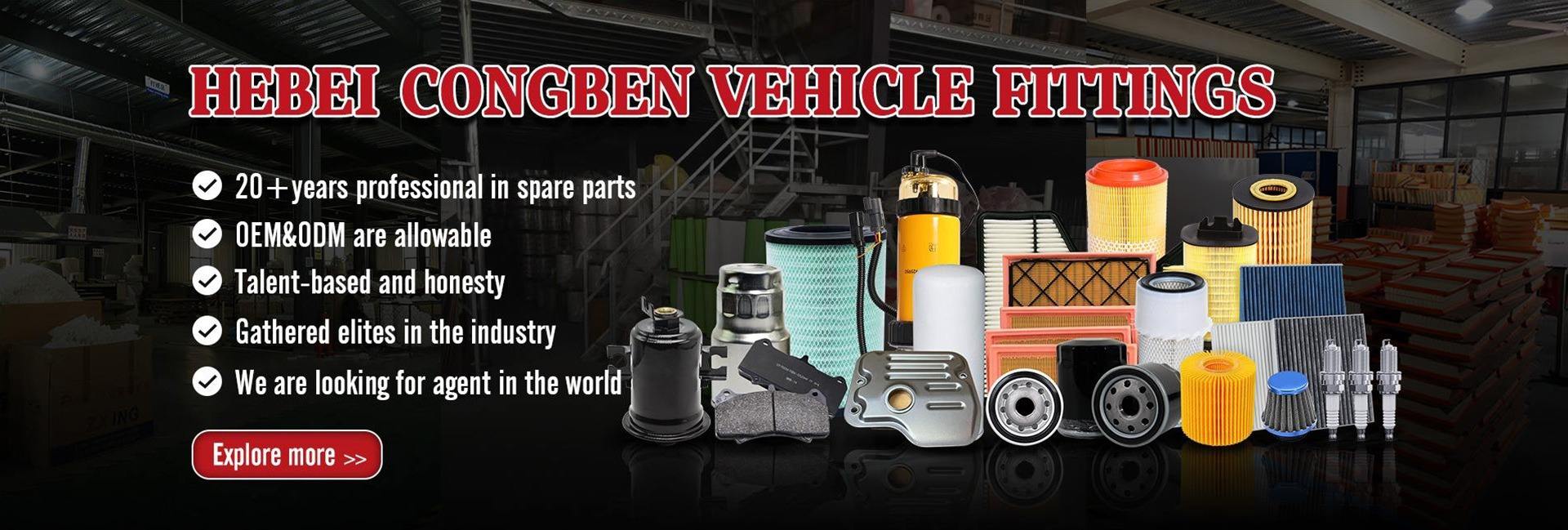 Knowledge about Hebei Energy-saving Hardware Accessories