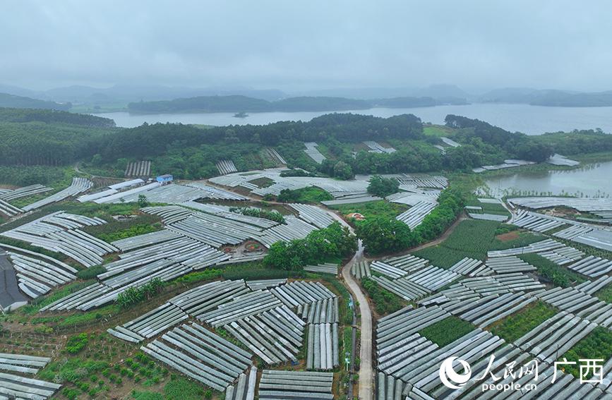 The Address of Song Village Hardware Store in Heng County, Guangxi