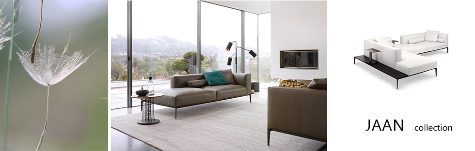 The Unique Charm of Wu Jin Shao Nv Flooring Brand