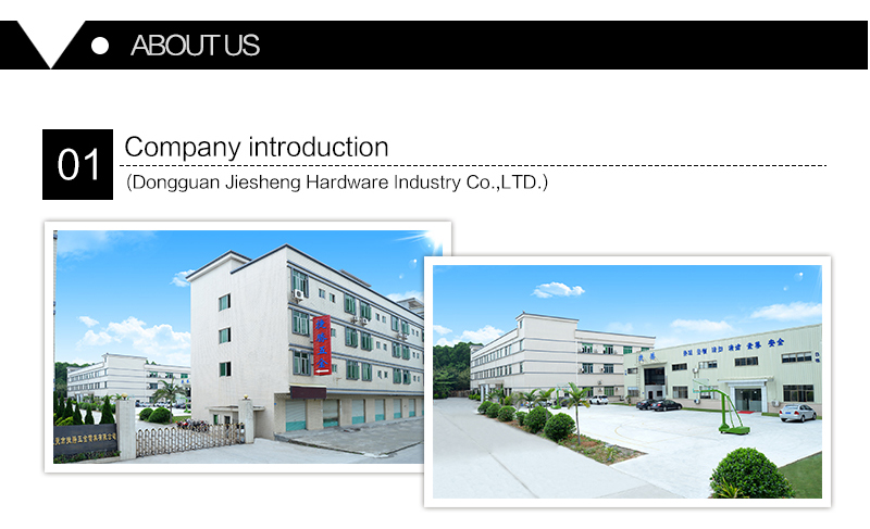Dongguan Customized Hardware Components Agent Brand