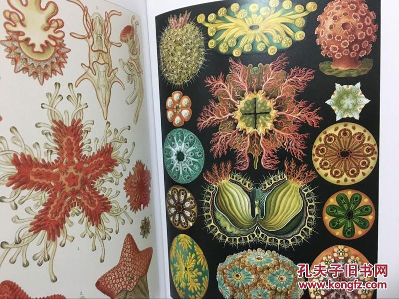 The Art and Science of Benxi Hardware Processing