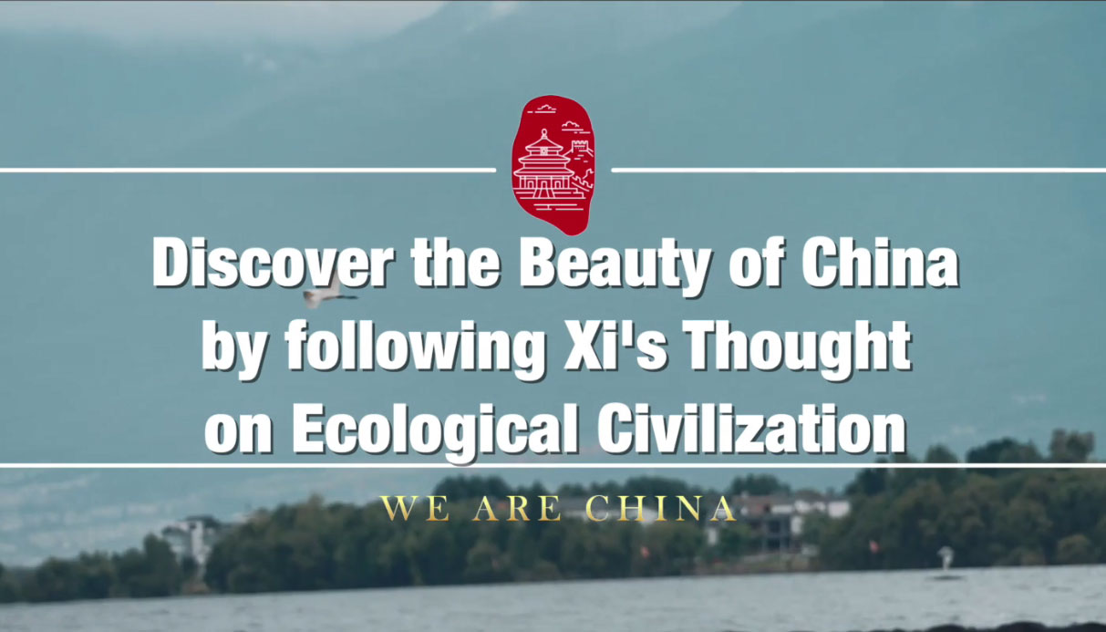 Exploring the World of Zhoukou Hardware Wholesale: An Insight into Chinas Industrial Heritage