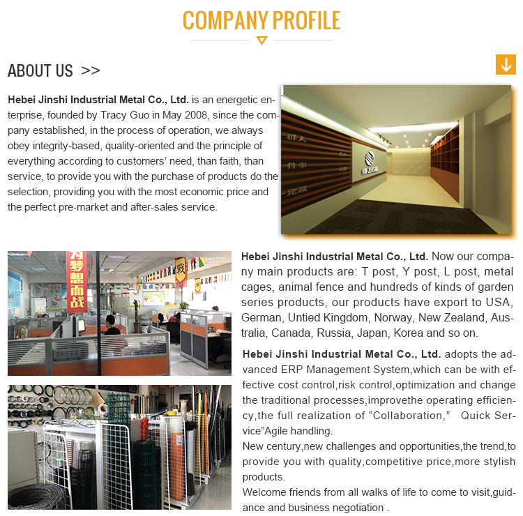 Crafting a Custom Hardware Exhibition Solution Template: A Comprehensive Guide for Business Owners