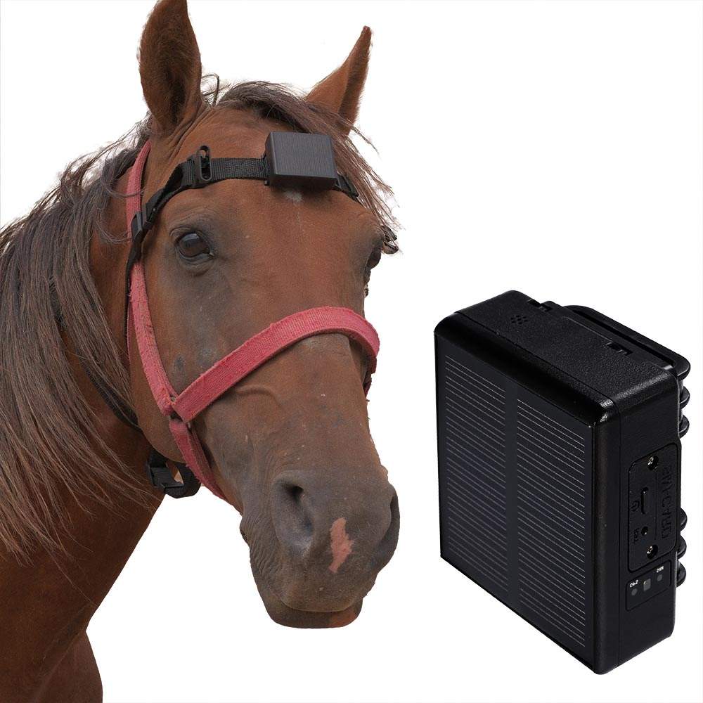 Exploring the World of Small Horse Hardware Wholesale: An Insight into the Business