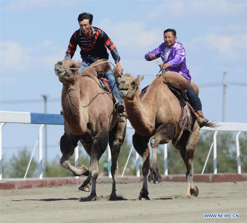 Custom Hardware in Xinjiang