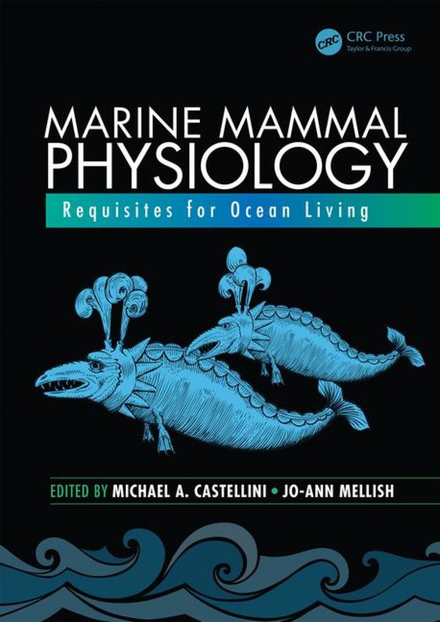 Exploring the World of Marine Mammals at Hainiu Metal Wholesale