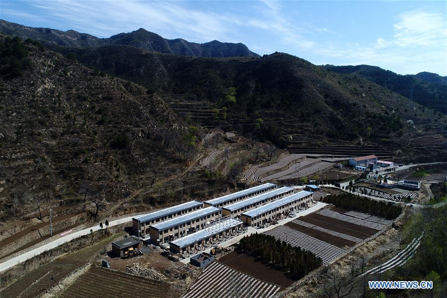 Exploring the World of Hardware Wholesale in Shixian County
