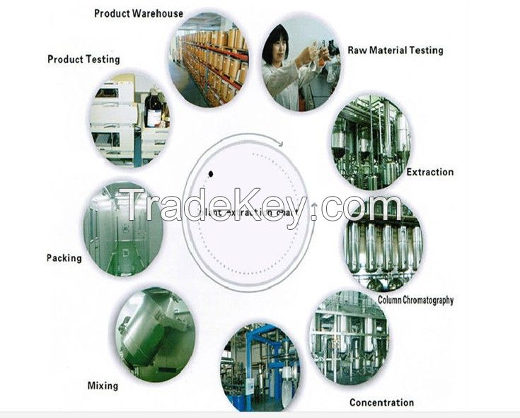The Comprehensive Manufacturing Process of Metal Custom Production