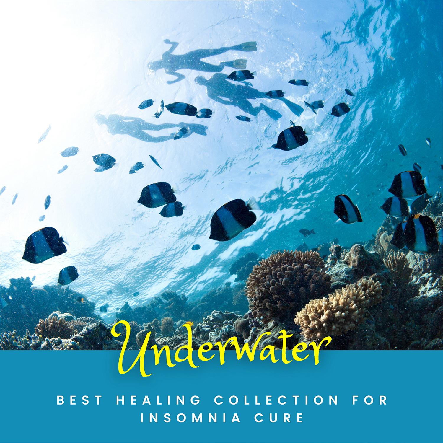 Underwater Hardware Shop: A Treasure Trove of Quality Products and Expert Advice