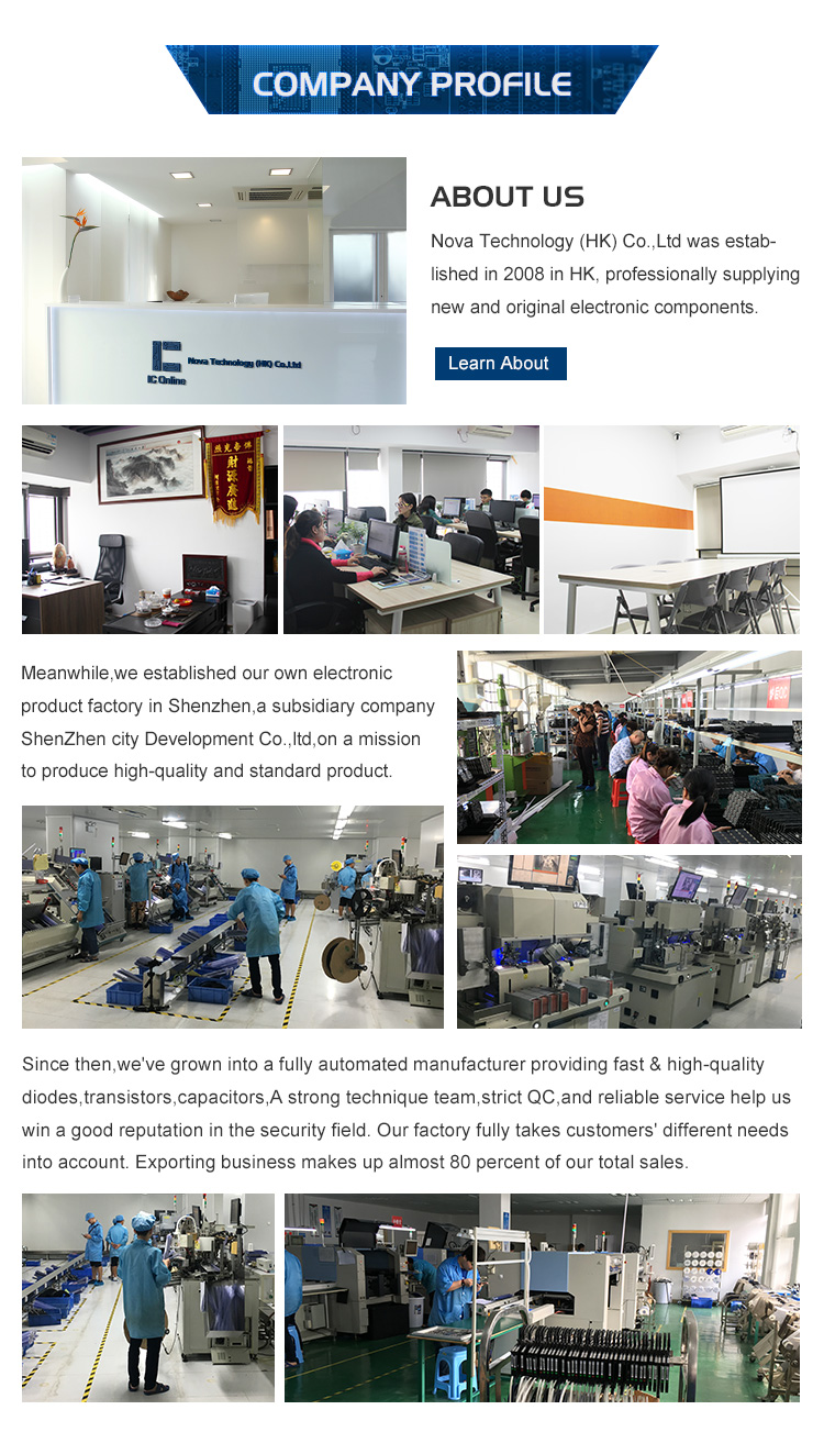 Exploring the Marvels of Shongo Conventional Hardware Mass Production Factory