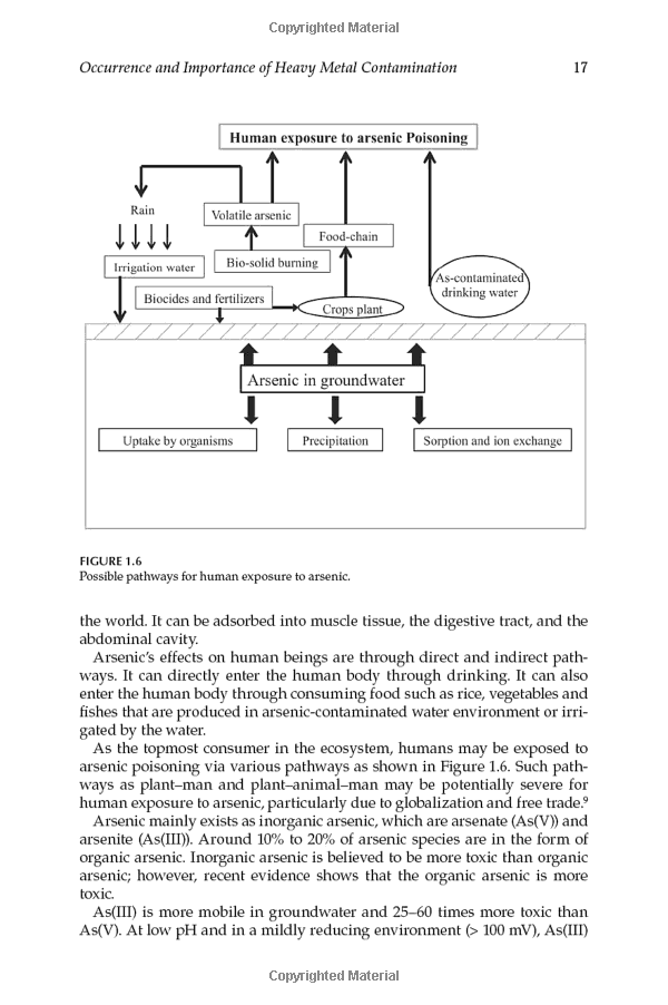 System Customization of Hardware for Enhanced Functionality and Performance