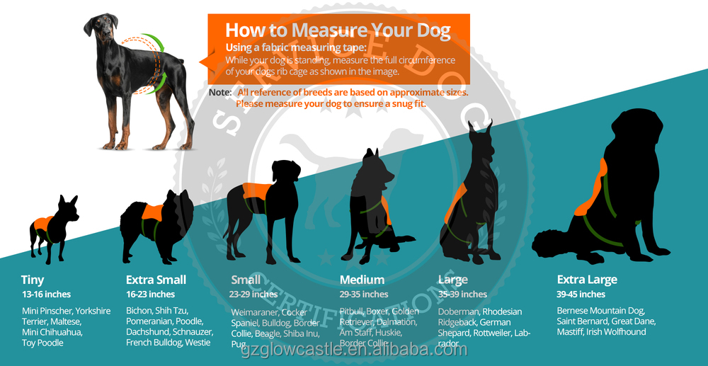 The Canine Emporium of Dog Tail Hardware: A Tale of Adventure and Innovation